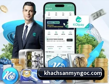 6686网站登录入口 APP